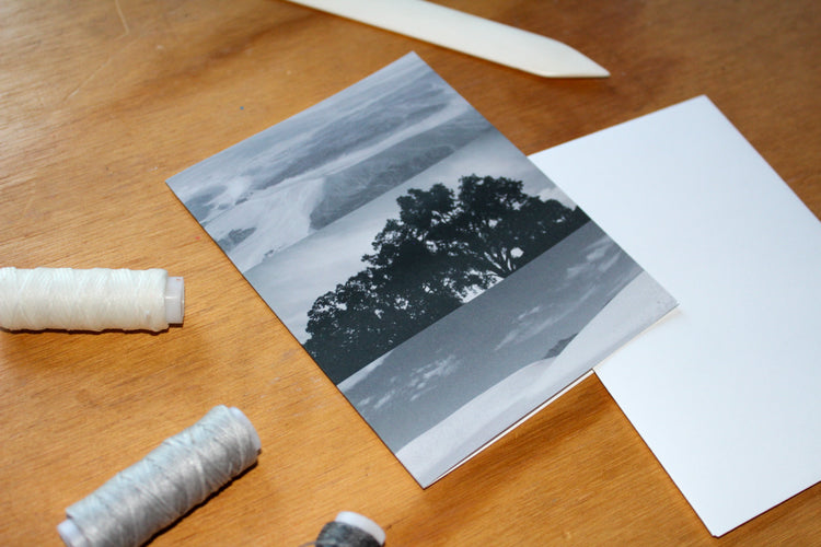 photo stack of desert, tree and white sand desert in greyscale
