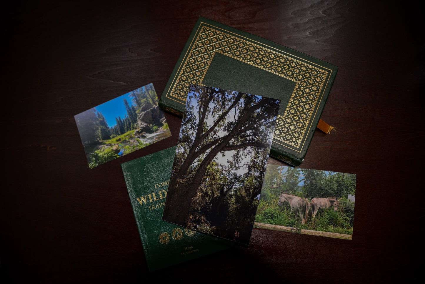 Deciduous (tree) notebook with books under it and Unnpunched postcards. Green and gold hues.