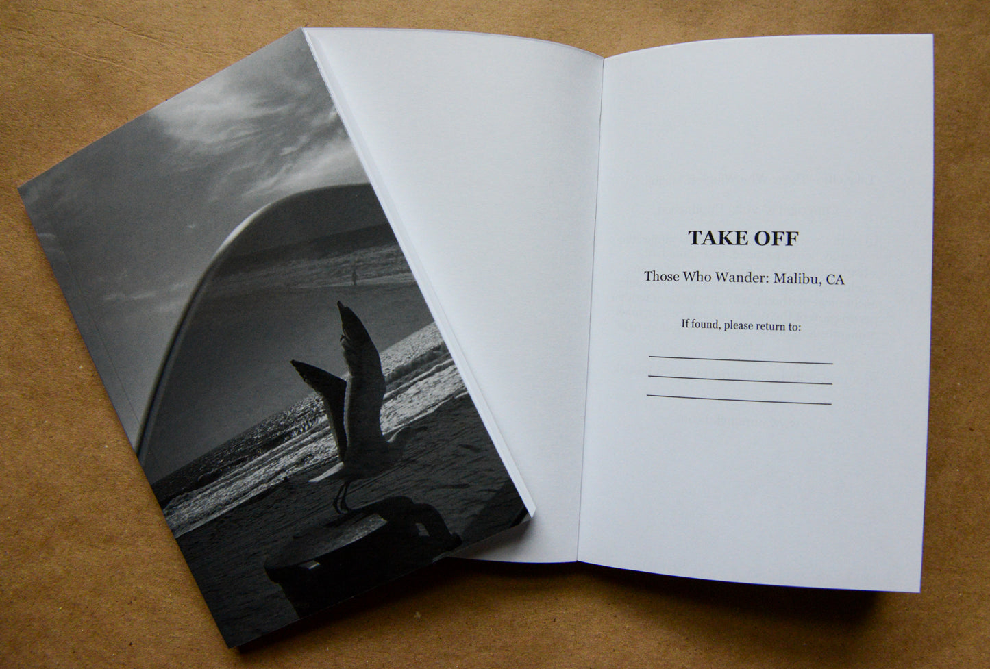 cover of take off with the title page depcited with 'those who wander' and if found