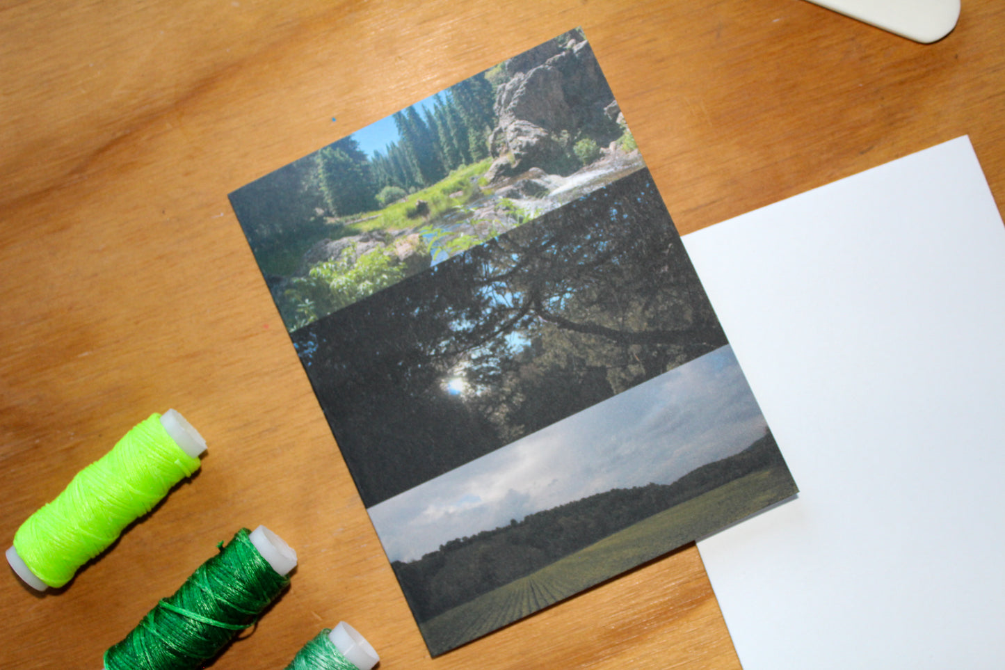 3 photos greenery, showcasing vibrant plants, leaves. white envelope and linen spools in green.