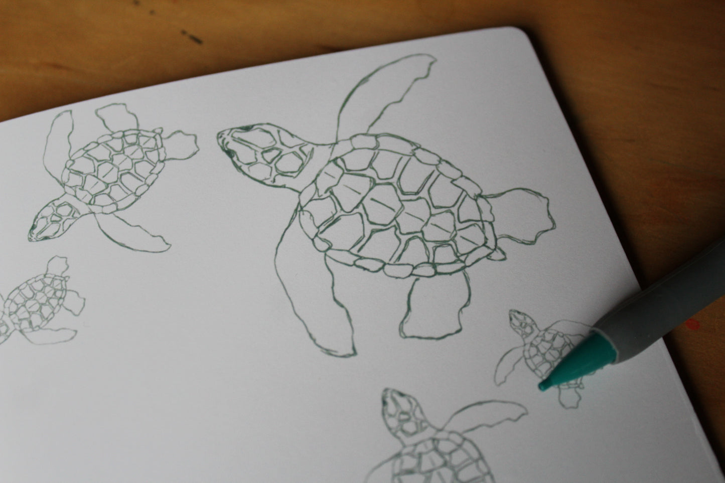 Sketches of turtles on a notebook with a pen on a wooden surface