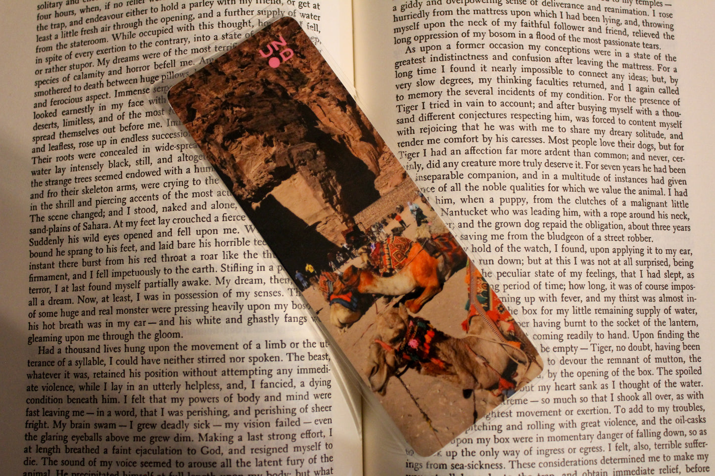 camel bookmark on book