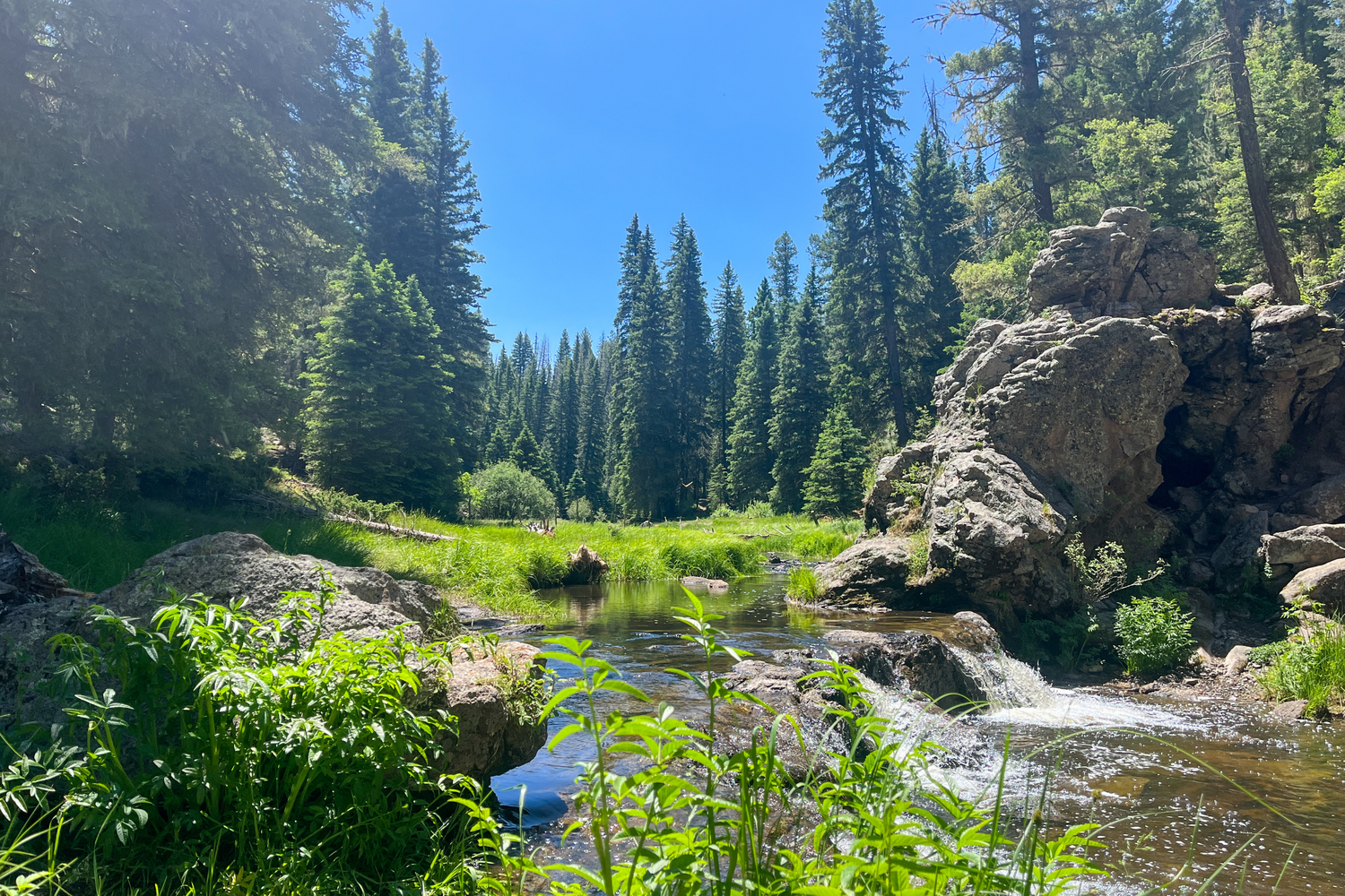 meadow surrounded by trees with boulders and a cascading waterfall