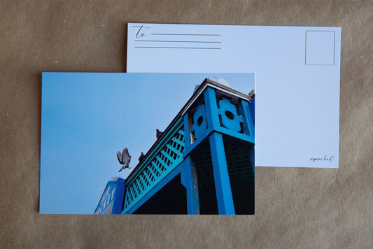 Back of the post card with "To" and stamp square. Logo in the bottom right corner. Photo of a piegon landing from flight ont he top of a blue metal building with teal lattice. Two pigeons are sitting at the top of the building in observation. The sky is a soft blue color from the marine layer.