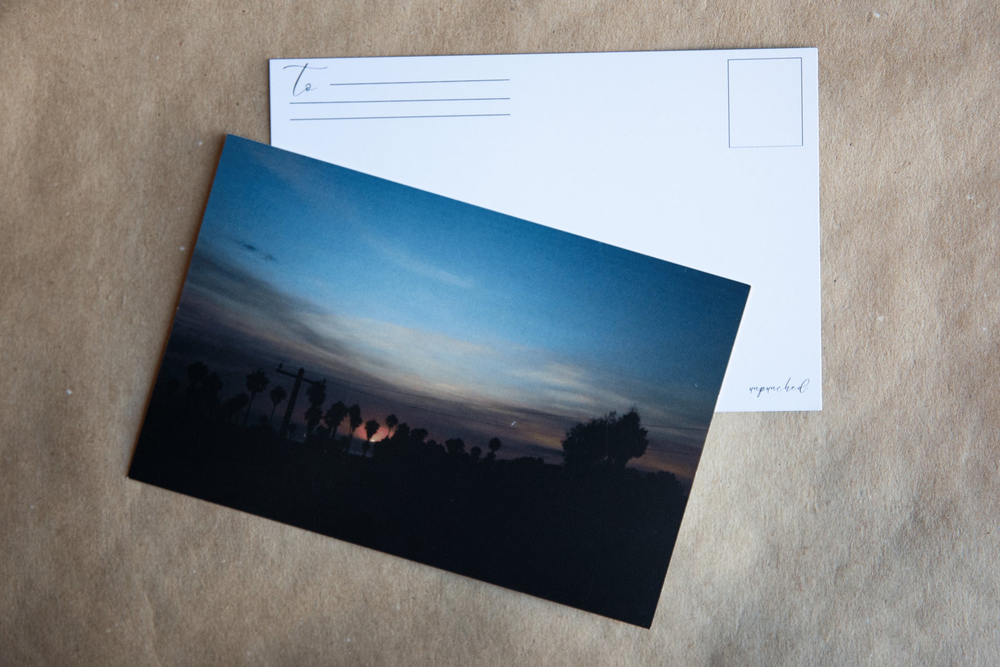 Back of the post card with "To" and stamp square. Logo in the bottom right corner. Santa Monica Beach skyline with the foreground of houses and palm trees shadowed in black. The only color depicted is the sunset, the sun beaming pink with purple and soft orange tones surroudning. The rest of the sky being a soft blue, with pale yellow clouds. 