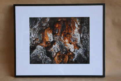 11x14 photo of exposed tree bark. Landscape display with matting and a black frame.