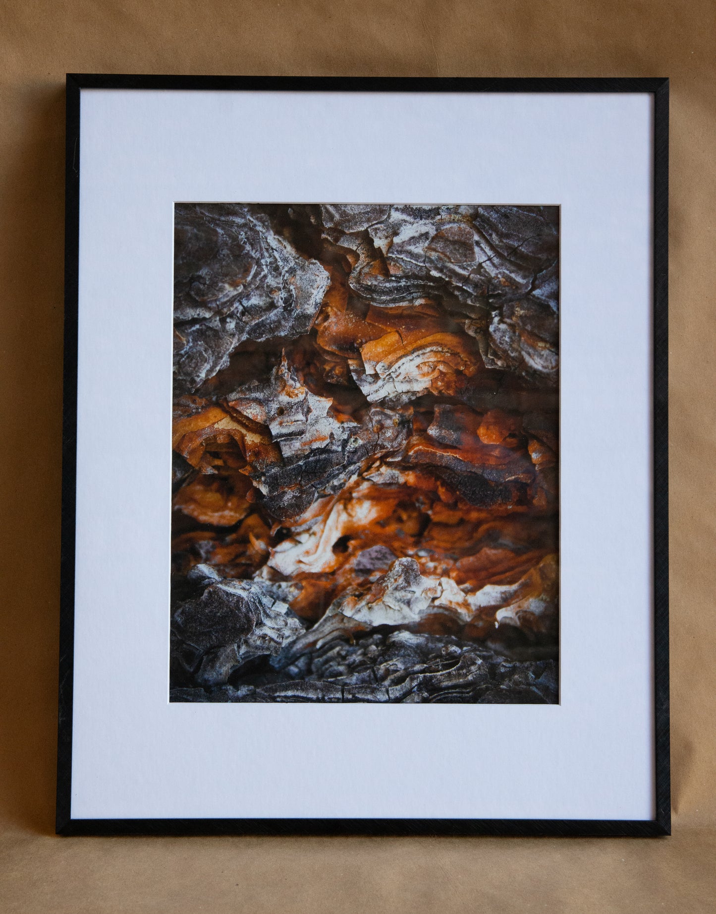 Photo of exposed tree bark with matting and black frame, against kraft paper.