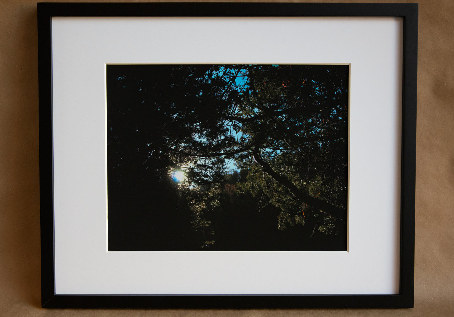 The sun peaking through the trees of the Dale Ball Trail in Santa Fe, New Mexico. White matting of the photo in a black frame. 11x14