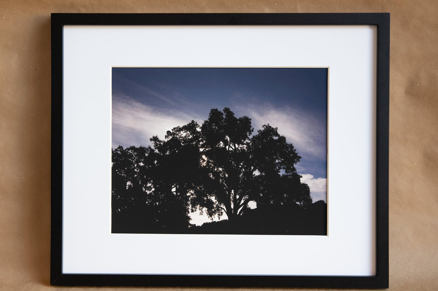 Shadowed tree in Paso Robles, CA against a blue and white sky. 11x14 photo framed with white matting and a black frame.