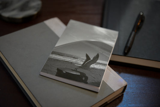 take off notebook against black and grey books, seagull taking off of a trashcan. reflected in a car window against the ocean