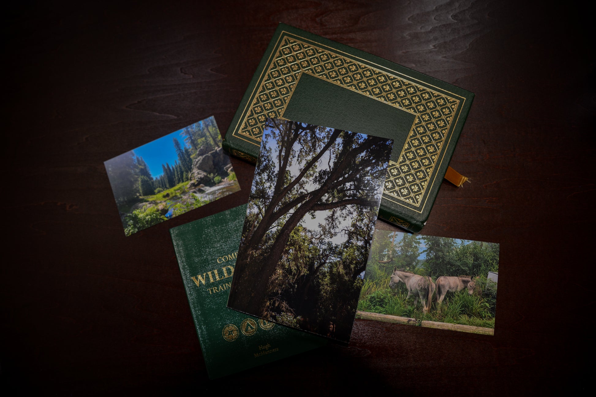 Deciduous (tree) notebook with books under it and Unnpunched postcards. Green and gold hues. 