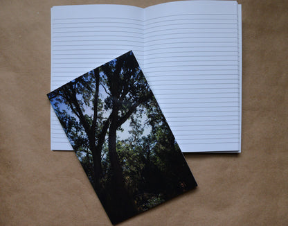 trees cover on against open lined pages of the notebook