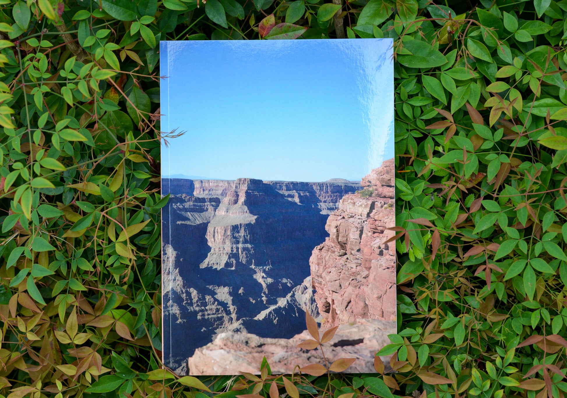 Grand canyon image on notebook with blue skies, on green leaves background