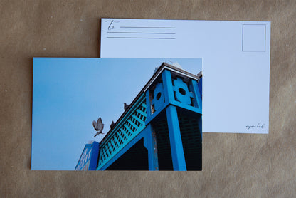 Back of the post card with "To" and stamp square. Logo in the bottom right corner. Photo of a pigeon landing from flight on the top of a blue metal building with teal lattice. Two pigeons are sitting at the top of the building in observation. The sky is a soft blue color from the marine layer.