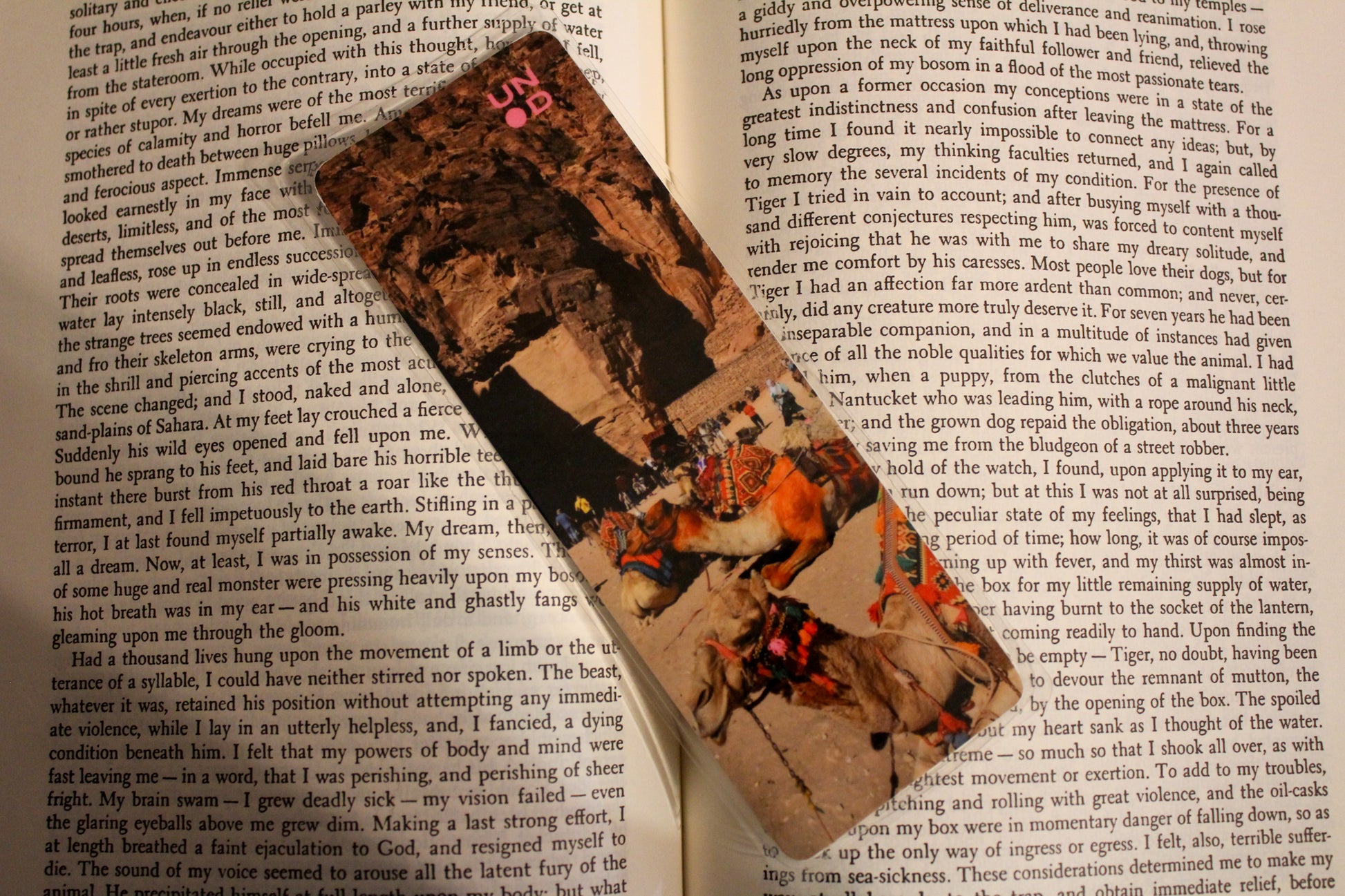 camel bookmark on book