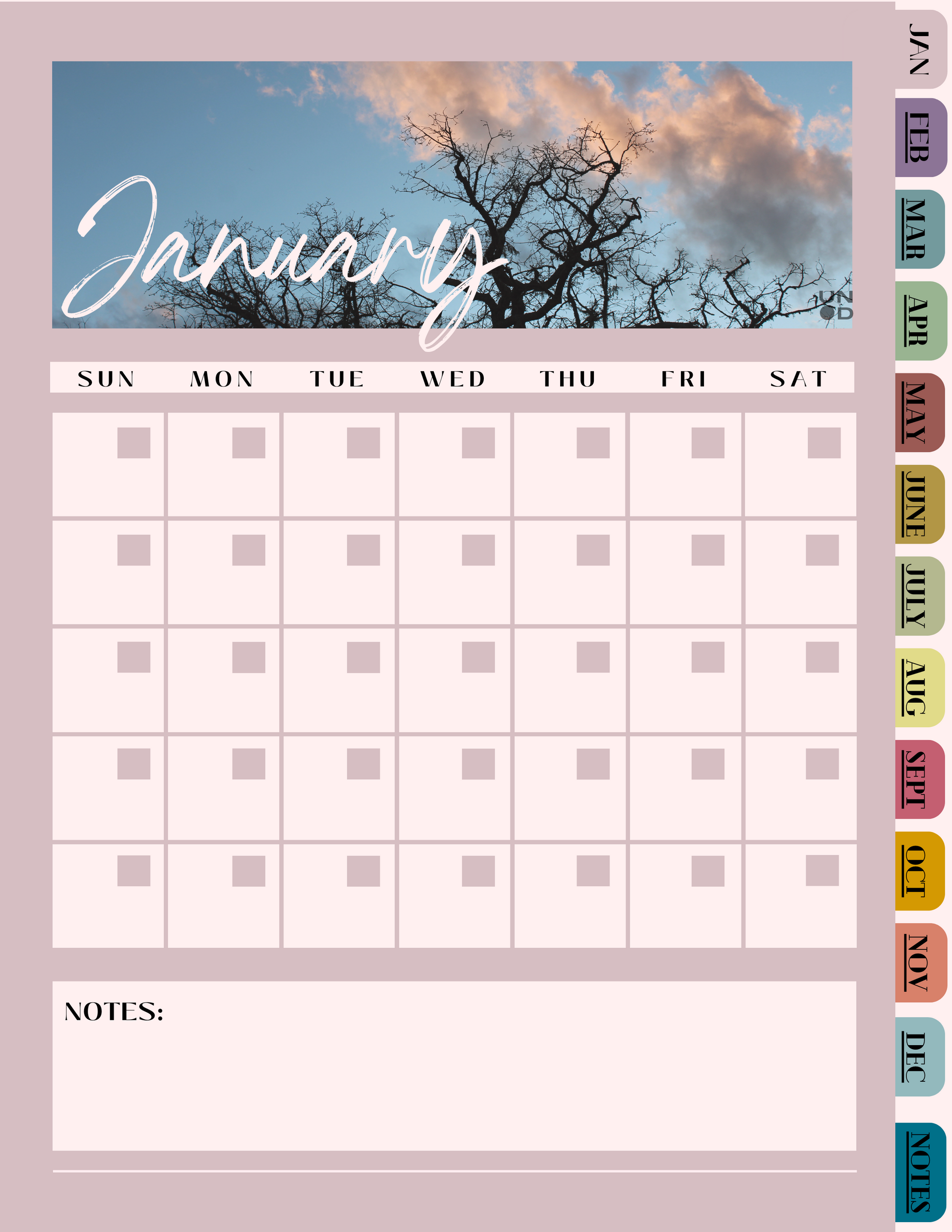 January monthly page. January written over a tree with a pink cloud in the background. 5 weeks in the month with undated boxes with a labeled days of the week bar above the grid. Notes section at the bottom with the month titles along the side with a Notes tab.