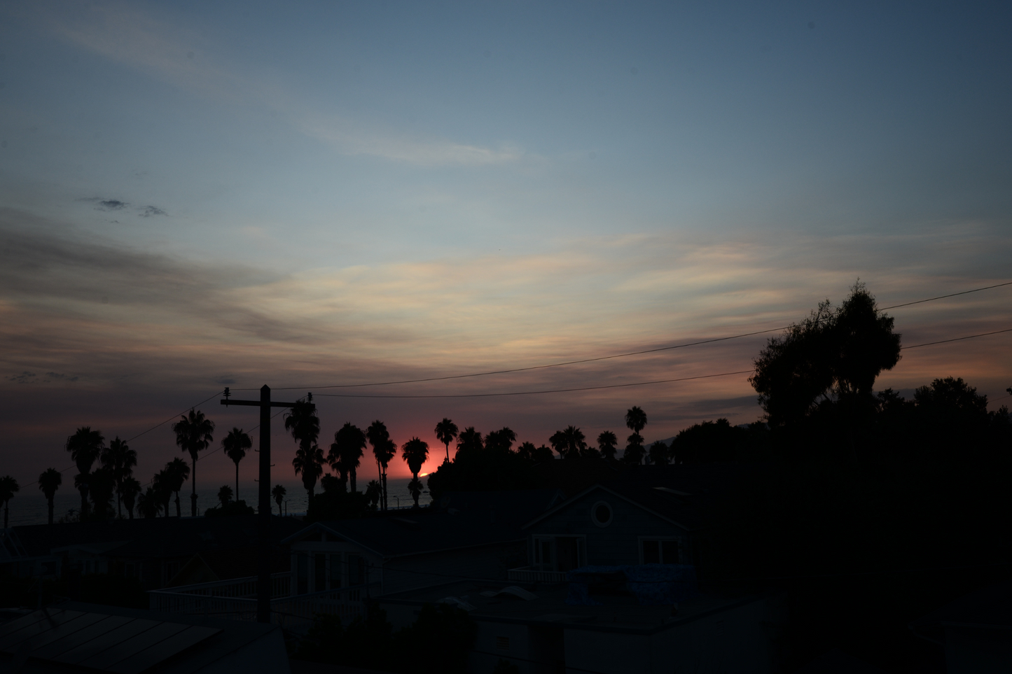 Santa Monica Beach skyline with the foreground of houses and palm trees shadowed in black. The only color depicted is the sunset, the sun beaming pink with purple and soft orange tones surroudning. The rest of the sky being a soft blue, with pale yellow clouds. 